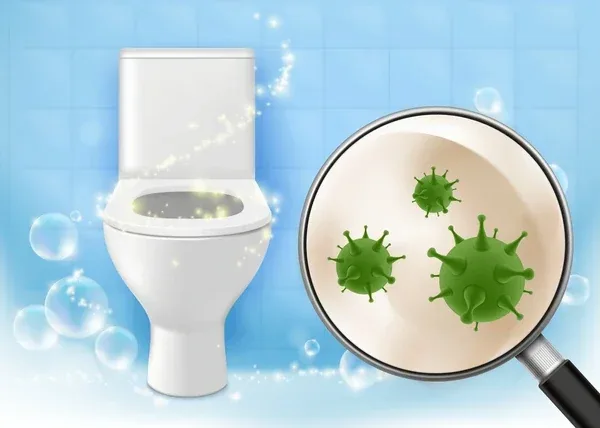 Bacteria and germs in the toilet